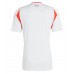Camiseta Chile Segunda Equipación Replica Copa America 2024 mangas cortas